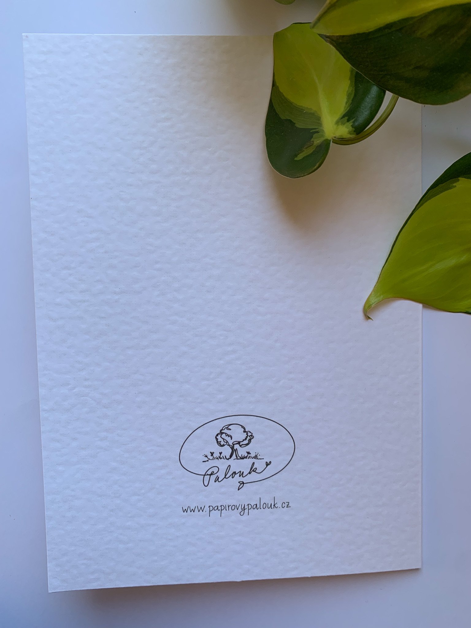 Přání Pomněnky - Obrázek 2