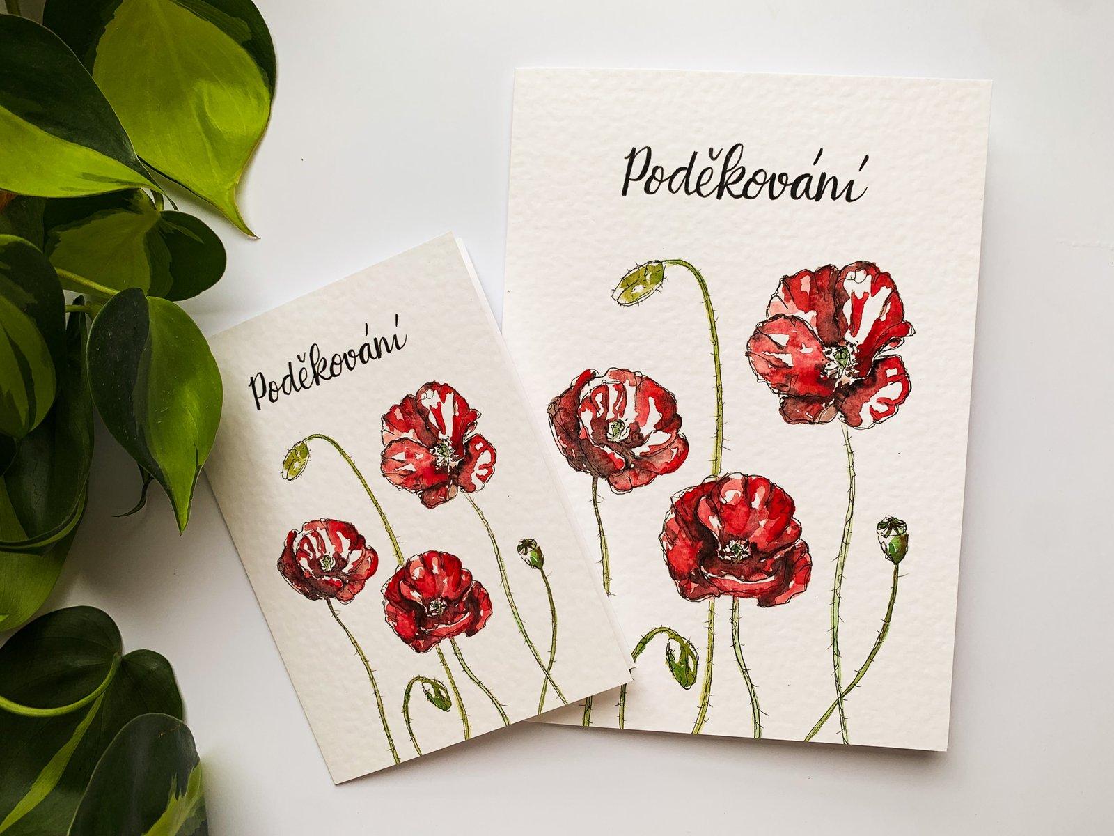 Přání Poděkování - Obrázek 3