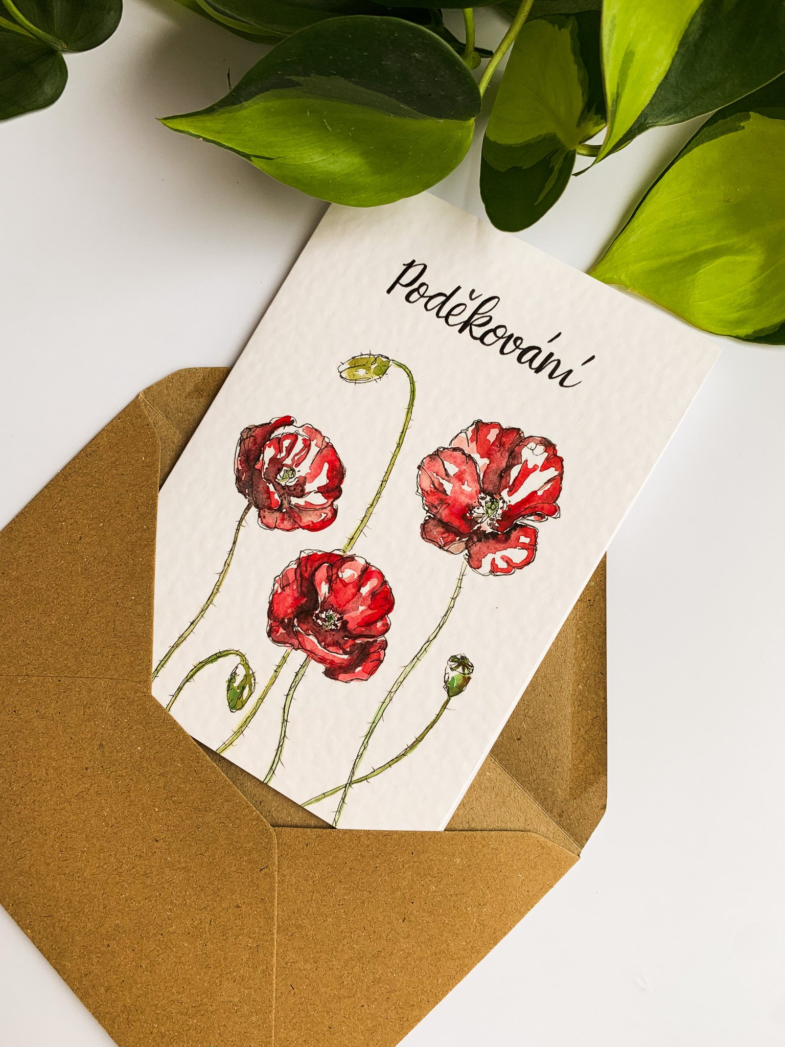 Přání Poděkování