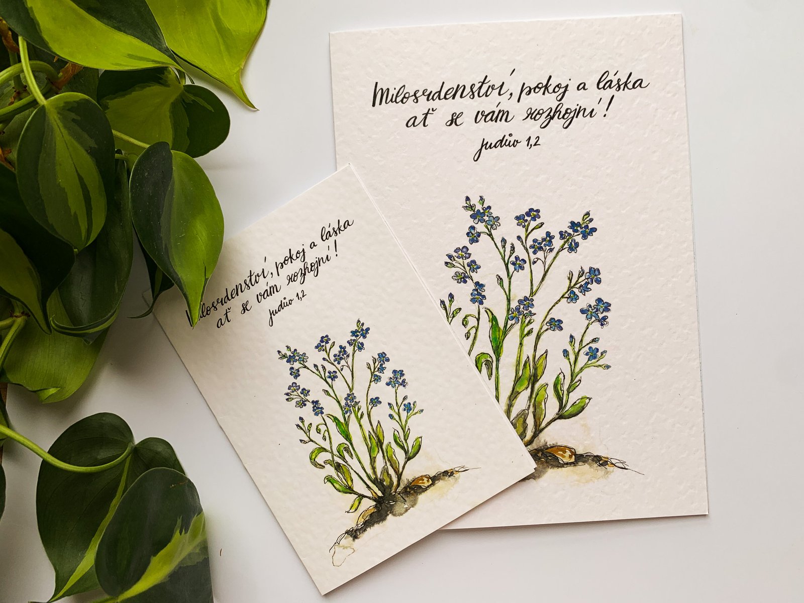 Přání Pomněnky - Obrázek 3