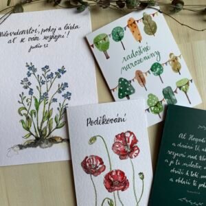 Akční vánoční balíček