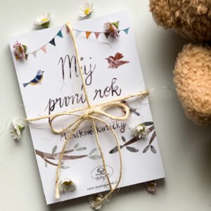 Milníkové kartičky: Můj první rok (Sada 15 ks)