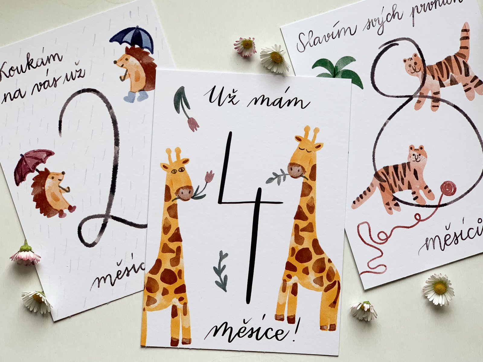 Milníkové kartičky: Můj první rok (Sada 15 ks) - Obrázek 3