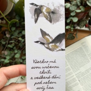 Knižní záložka Kazatel 3,1